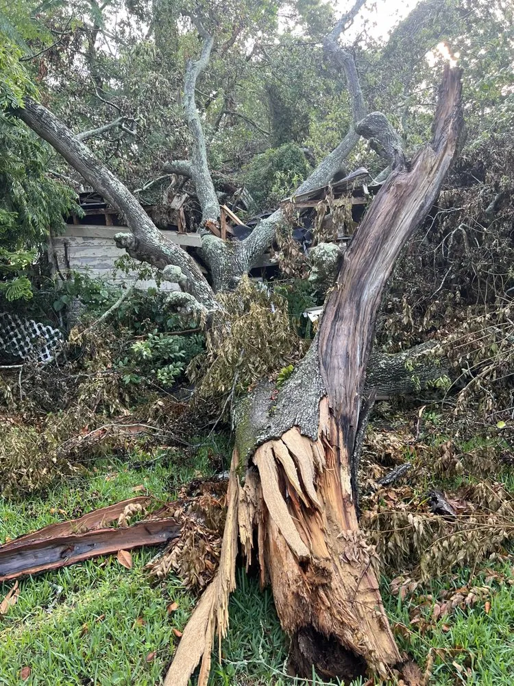 Affordable outdoor landscaping in St. Augustine, FL - Treezy Peezy Tree and Lanscape