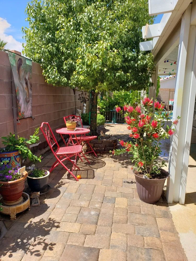 Professional yard maintenance in Las Vegas, NV - Treidgen Industries