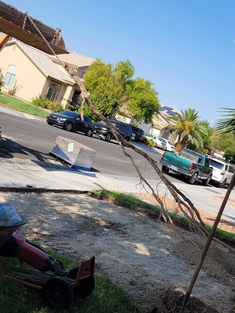 Reliable landscape design in Las Vegas, NV by Treidgen Industries