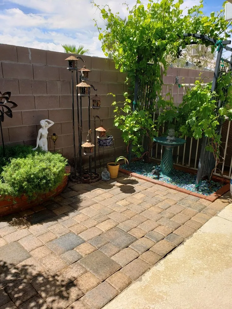 Top-rated yard maintenance in Las Vegas, NV by Treidgen Industries