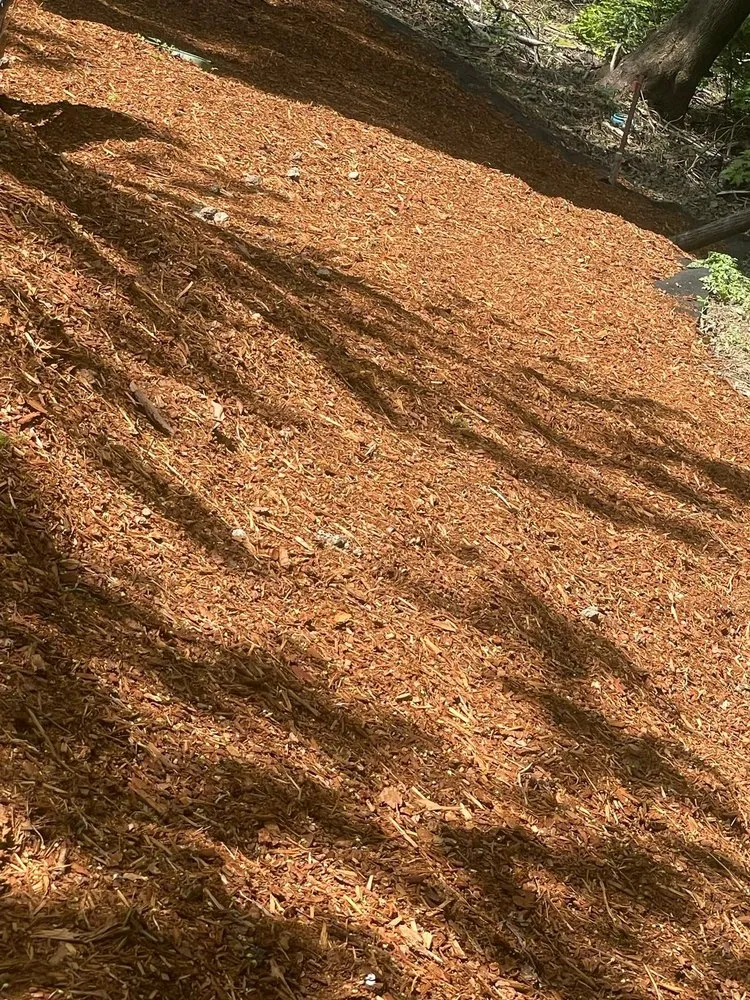 Local residential landscaping experts serving Seattle, WA - Trejo General Contractor