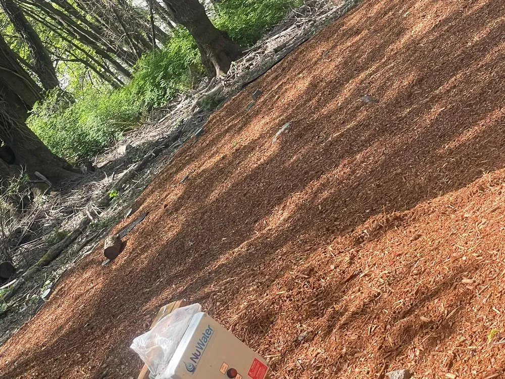 Top-rated lawn care service for outdoor upgrades in Seattle, WA by Trejo General Contractor