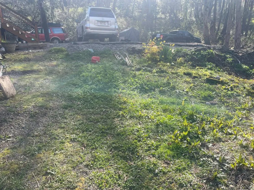 Custom landscaping services in Seattle, WA - Trejo General Contractor