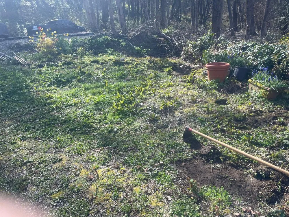 Expert landscape installation in Seattle, WA by Trejo General Contractor