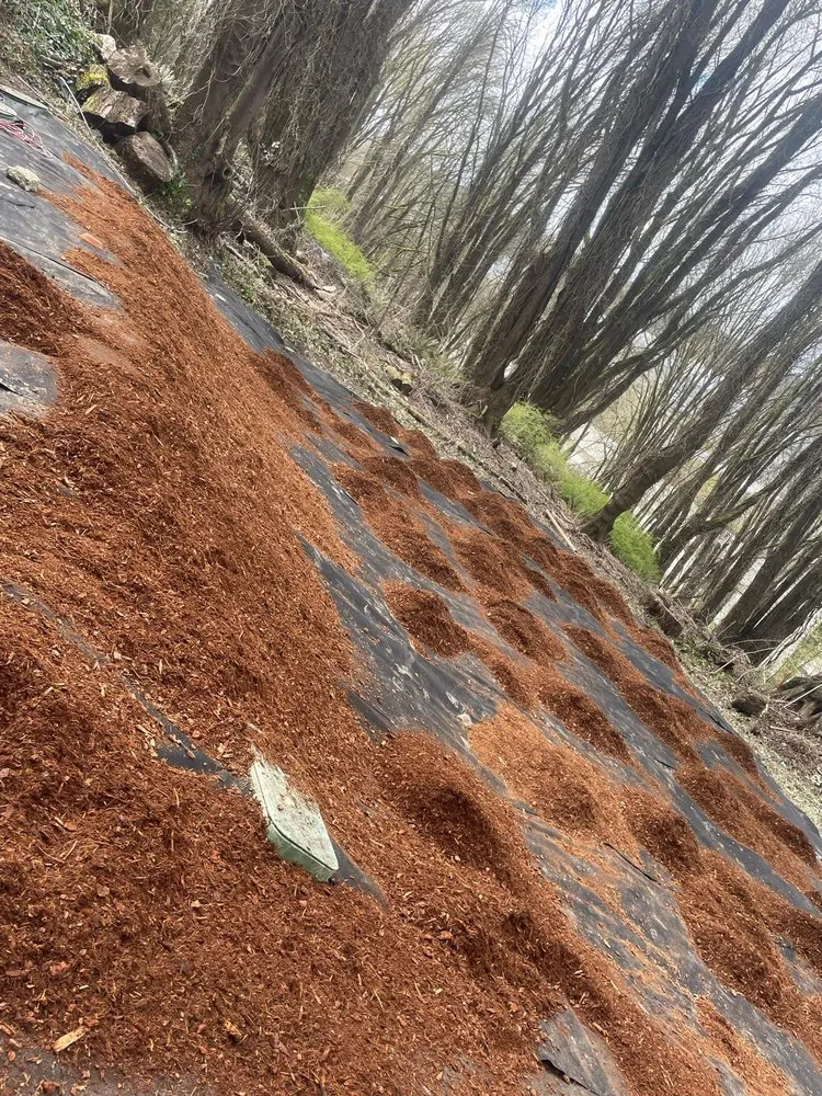 Top-rated yard maintenance for year-round maintenance in Seattle, WA by Trejo General Contractor