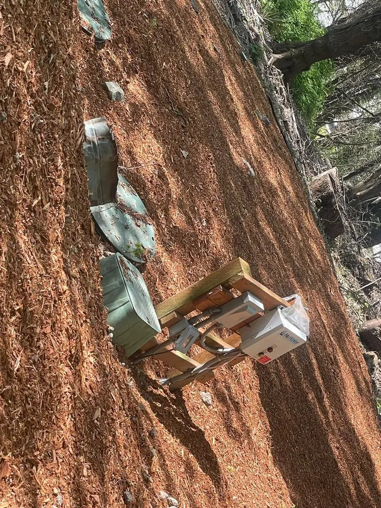 Local outdoor landscaping for residential properties in Seattle, WA by Trejo General Contractor