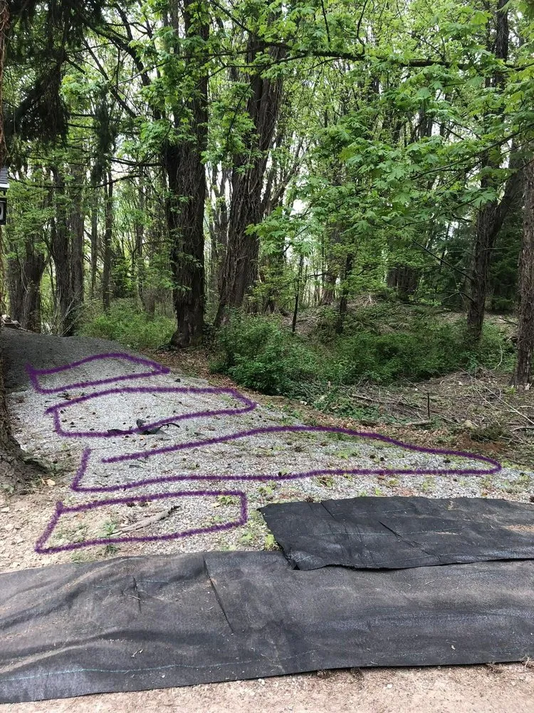 Custom lawn mowing service near you across Seattle, WA - Trejo General Contractor