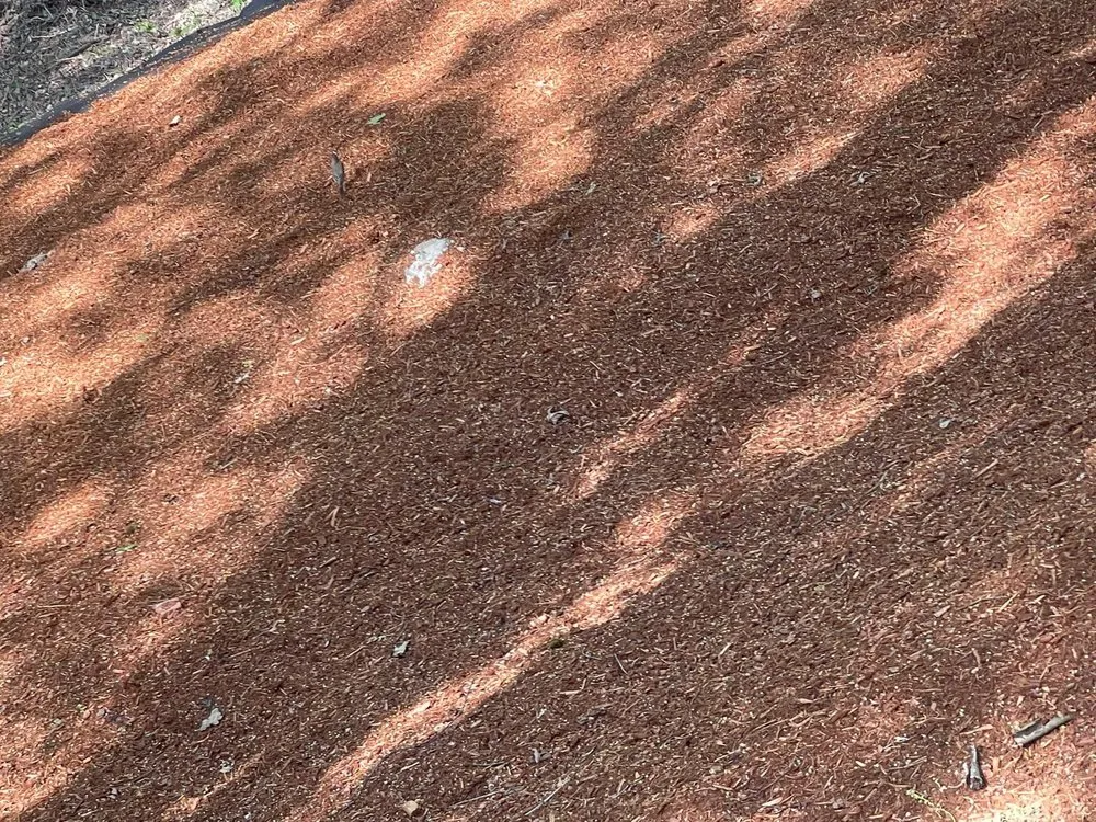 Reliable garden landscaping for residential properties across Seattle, WA - Trejo General Contractor