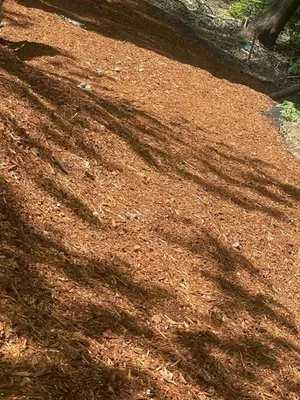 Trejo General Contractor Logo