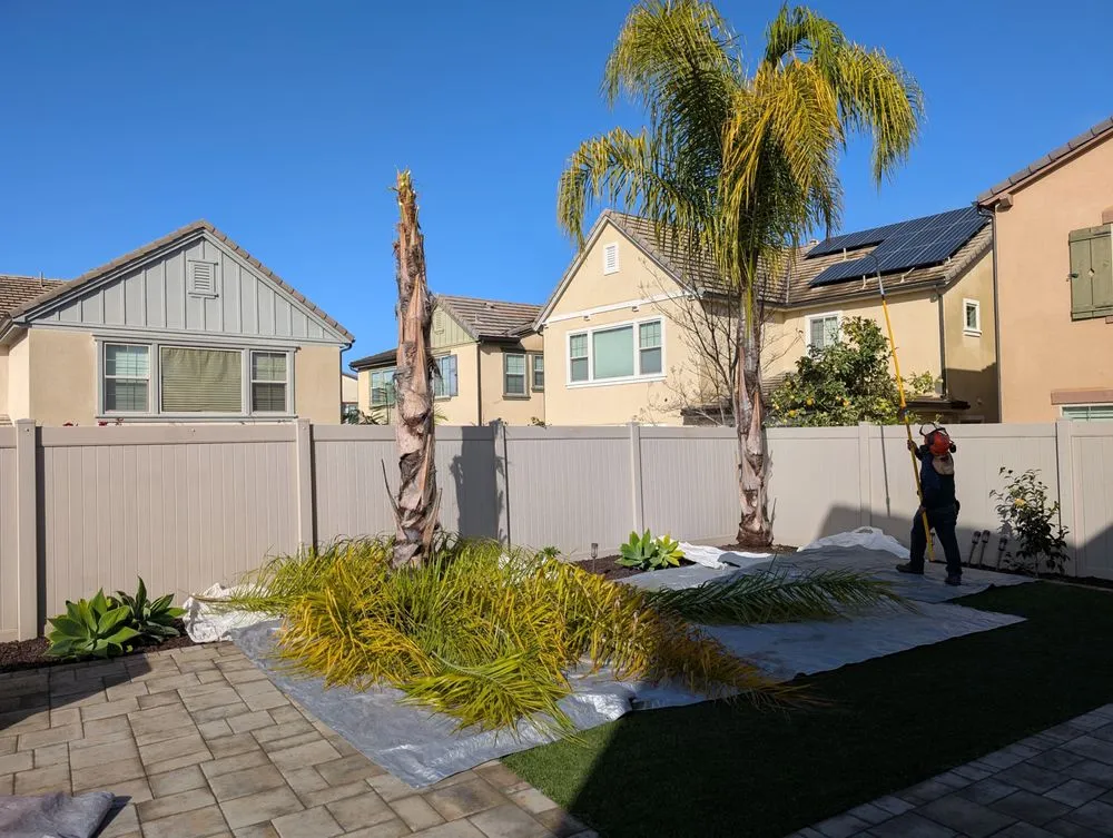 Affordable landscaping services in Escondido, CA by Trejo Landscaping