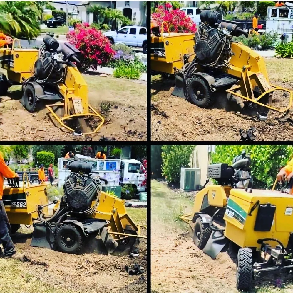 Trusted yard cleanup service in Escondido, CA - Trejo Landscaping
