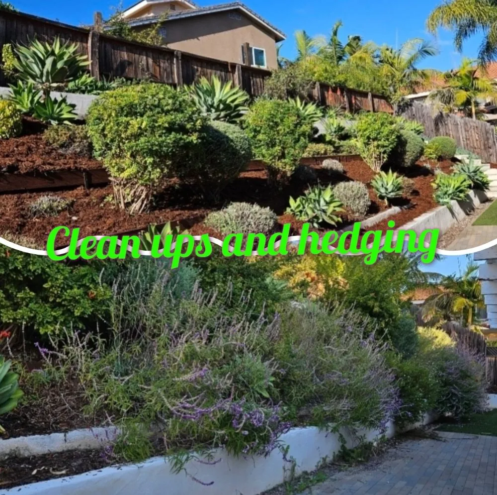 Top-rated garden landscaping in Escondido, CA by Trejo Landscaping