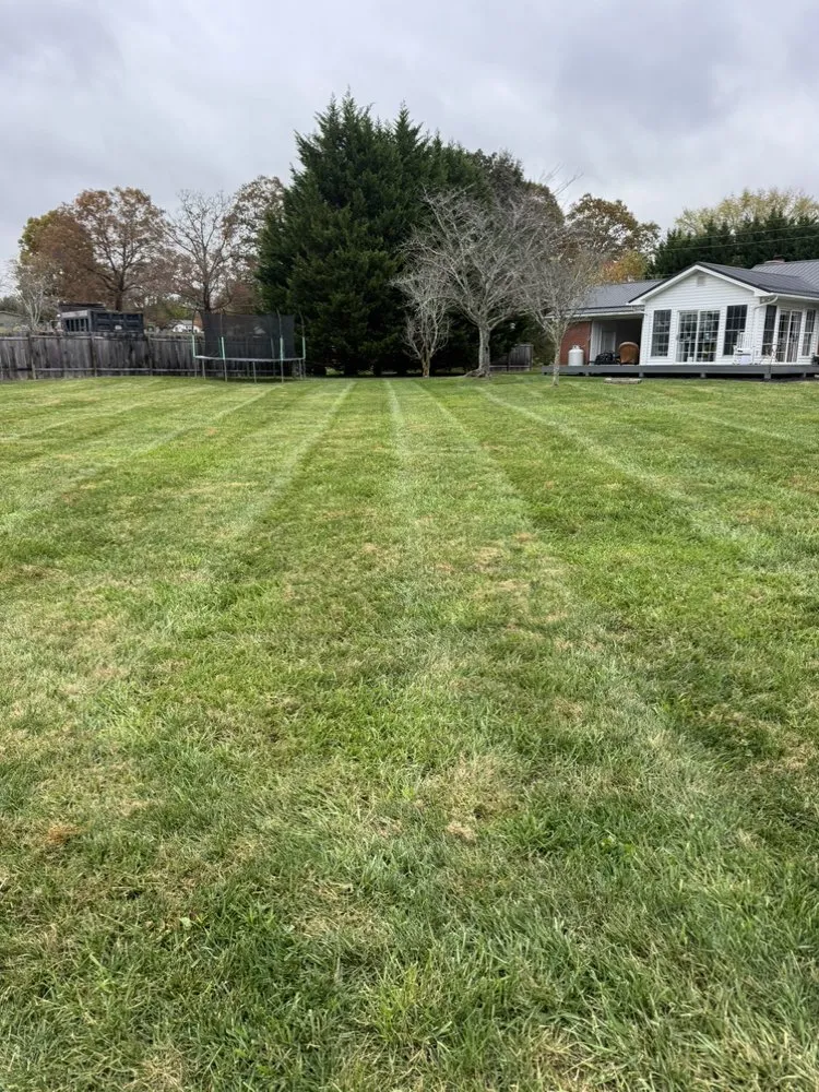 Expert lawn mowing service experts serving Hendersonville, NC - Trejo Lawn Care