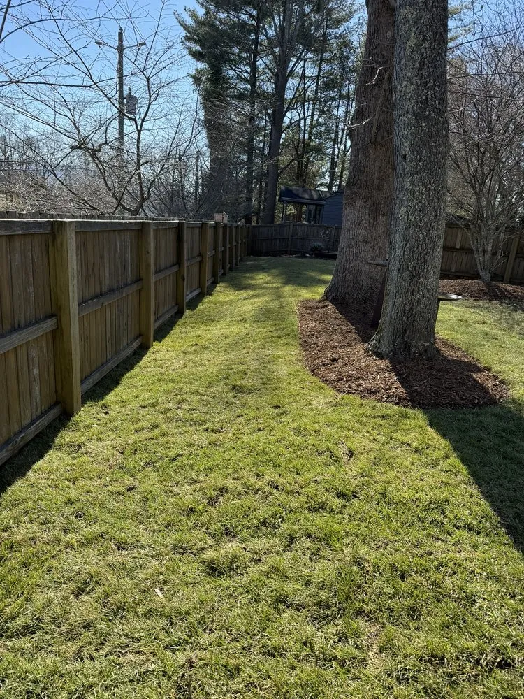 Reliable lawn mowing service experts serving Hendersonville, NC - Trejo Lawn Care