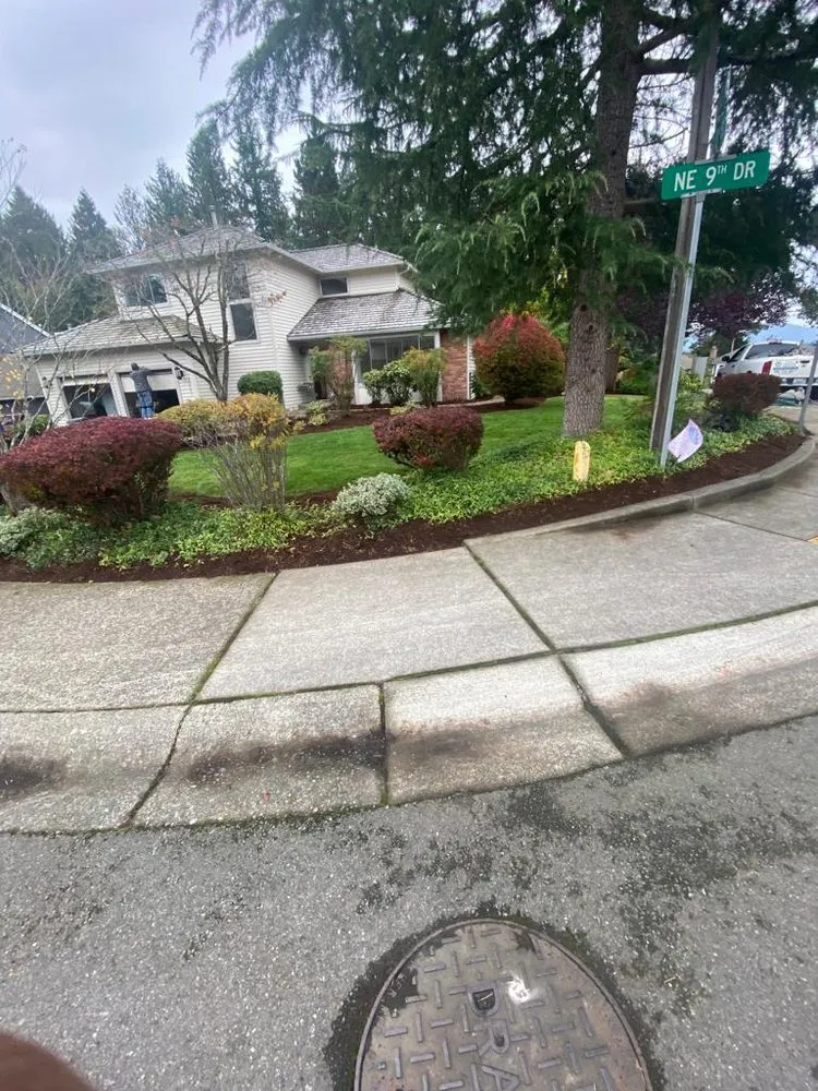 Professional landscaping services in Seattle, WA by Trejos Landscaping