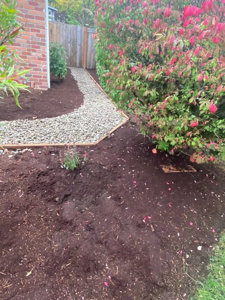 Professional yard cleanup service experts serving Seattle, WA - Trejos Landscaping