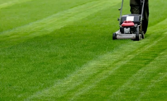 Trusted landscape design in Falls Church, VA by Trejo's Lawn Care and Landscaping