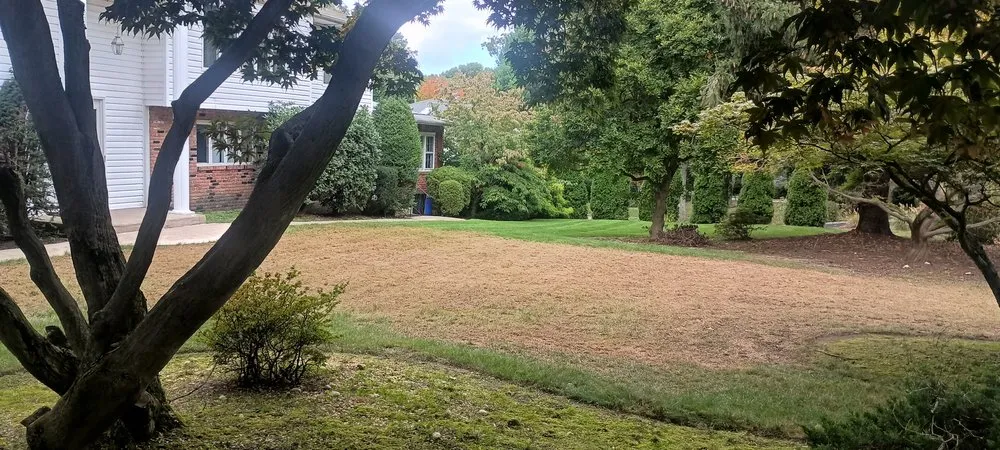 Affordable residential landscaping experts serving Huntington Station, NY - Trelawny Landscape Service