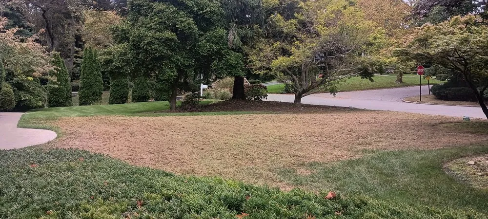 Professional lawn care service for year-round maintenance in Huntington Station, NY by Trelawny Landscape Service