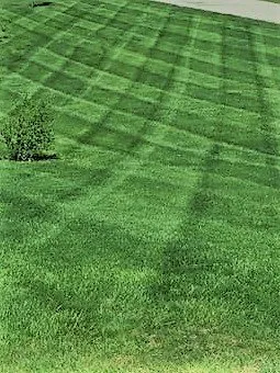 Expert outdoor landscaping for homes across Lawrenceburg, IN - Tremain's Lawn & Landscape