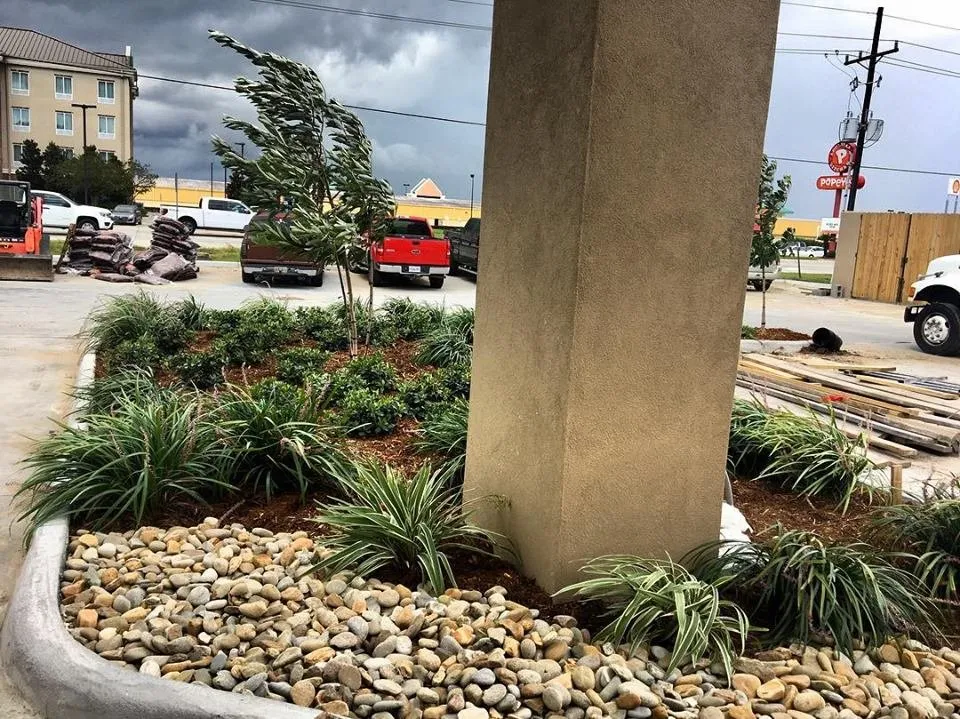 Trusted garden landscaping for year-round maintenance across Denham Springs, LA - Treme Landscaping and Grounds Management