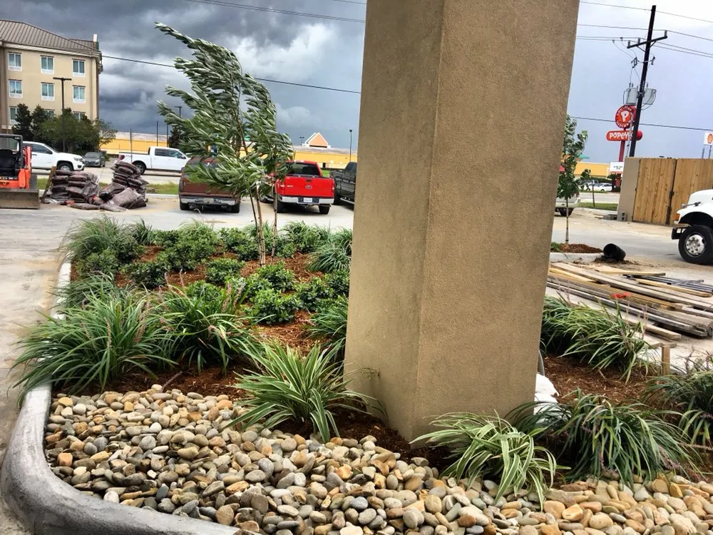 Local landscaping services in Denham Springs, LA by Treme Landscaping and Grounds Management