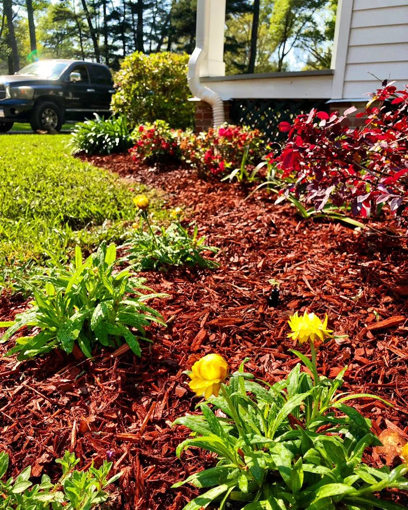 Top-rated lawn mowing service in Denham Springs, LA by Treme Landscaping and Grounds Management