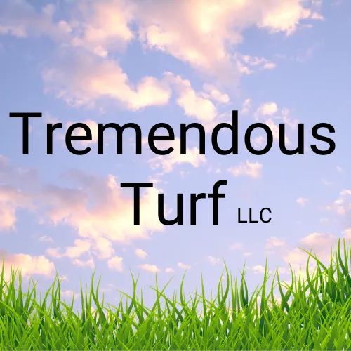 Expert yard maintenance in Newark, OH by Tremendous Turf