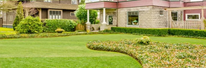 Expert landscape design for beautiful yards in Reading, PA by Tremillo Landscaping