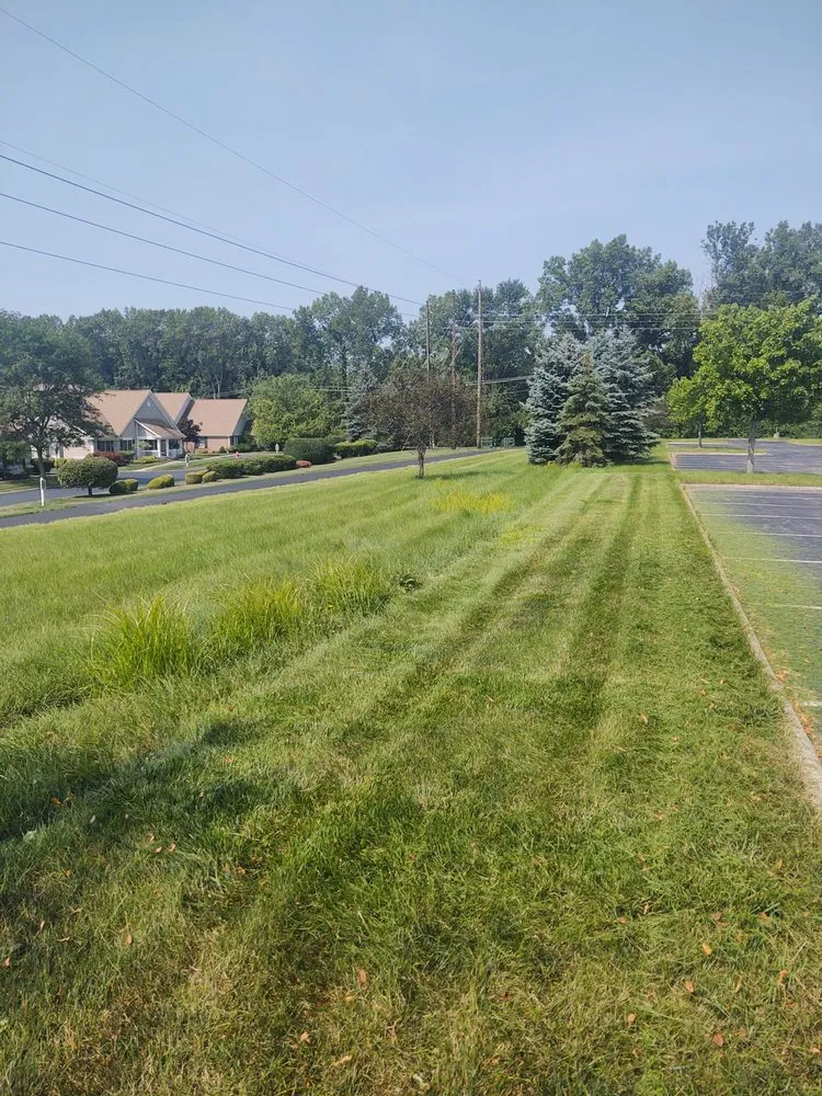 Reliable lawn mowing service in Columbus, OH - Tremont Mower