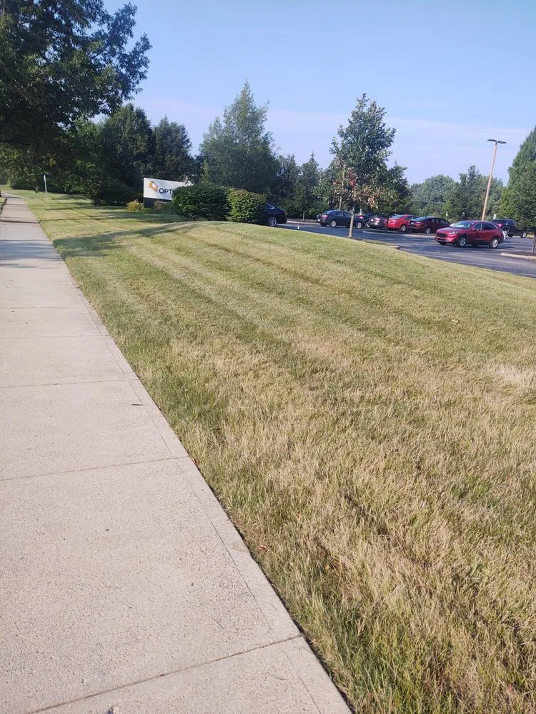 Expert landscaping services in Columbus, OH by Tremont Mower