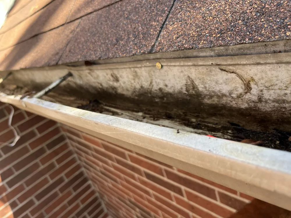 Expert yard cleanup service in Conroe, TX - Trenches To Transformation