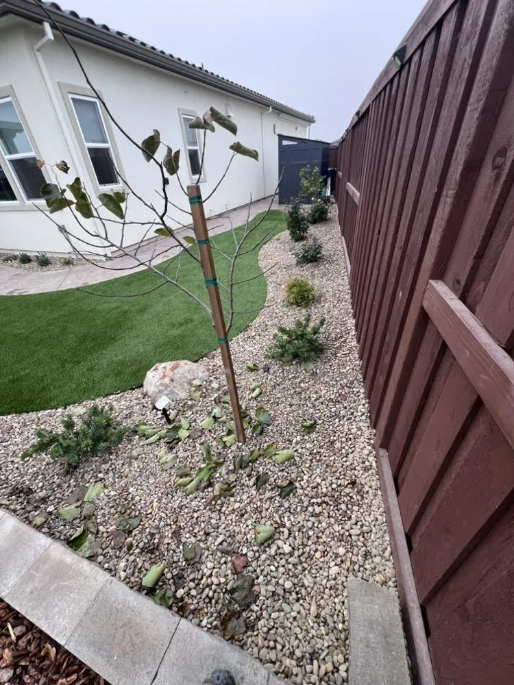 Affordable landscape design in Folsom, CA - Trenco Construction