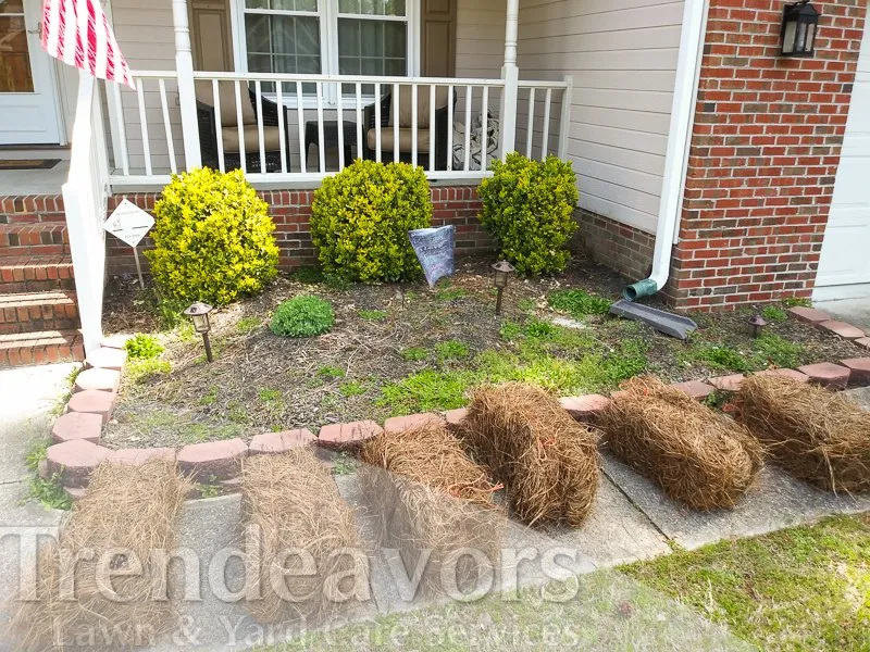 Top-rated yard maintenance for outdoor upgrades in Fayetteville, NC by Trendeavors Home Services