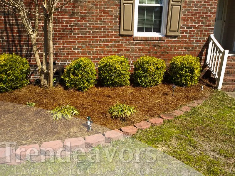 Professional lawn care service in Fayetteville, NC by Trendeavors Home Services