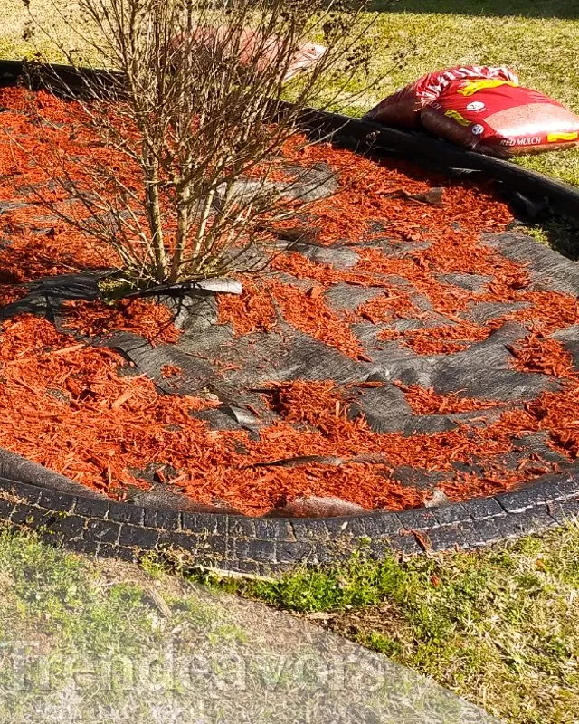 Top-rated garden landscaping in Fayetteville, NC - Trendeavors Home Services