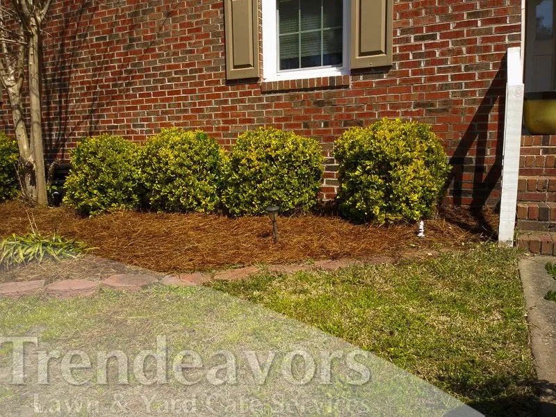 Trusted yard maintenance in Fayetteville, NC by Trendeavors Home Services