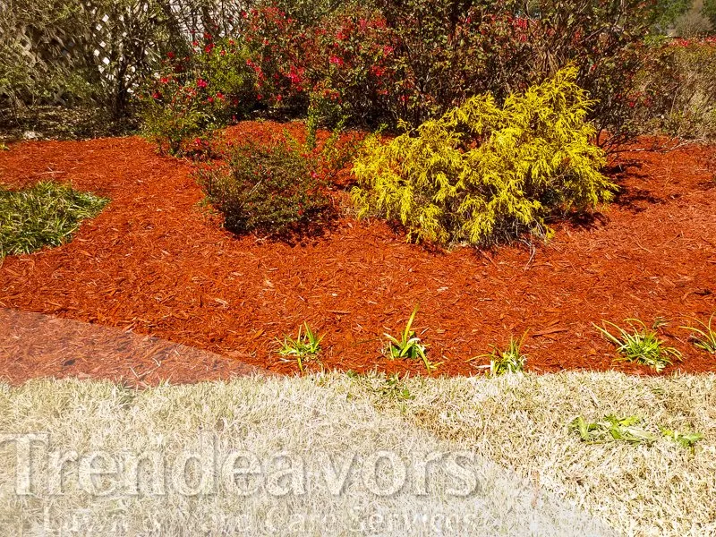 Affordable landscape installation in Fayetteville, NC by Trendeavors Home Services
