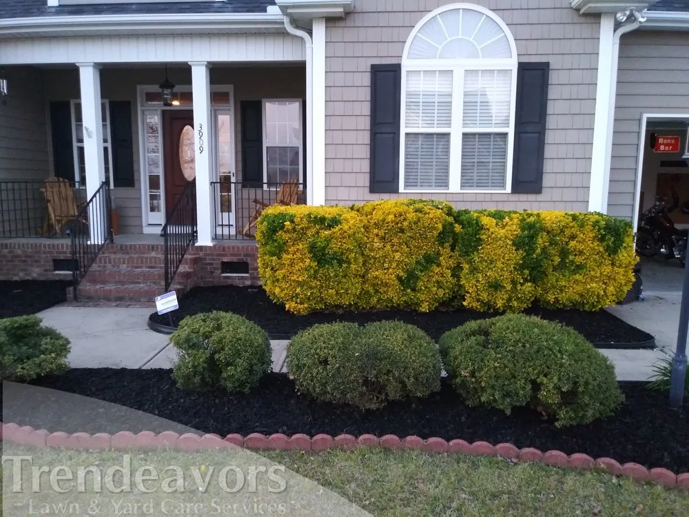Affordable landscaping services with custom design in Fayetteville, NC by Trendeavors Home Services