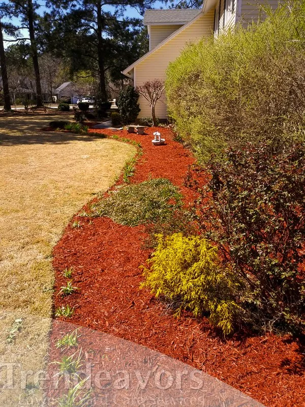 Professional landscaping services for year-round maintenance across Fayetteville, NC - Trendeavors Home Services
