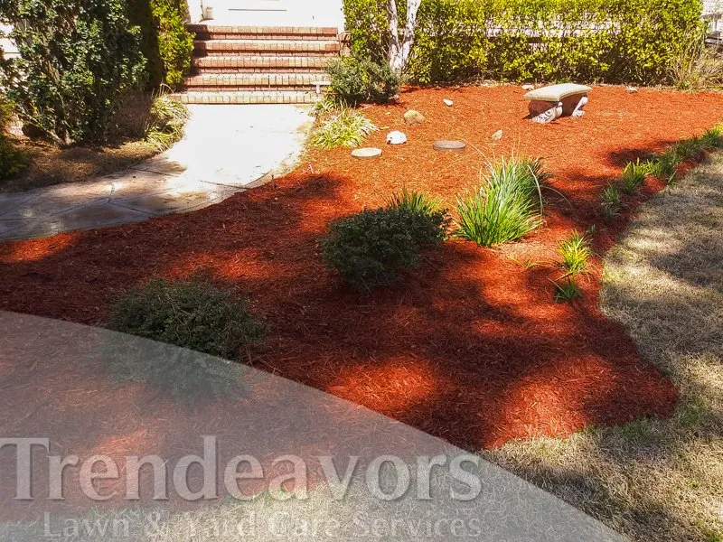 Top-rated lawn mowing service experts serving Fayetteville, NC - Trendeavors Home Services