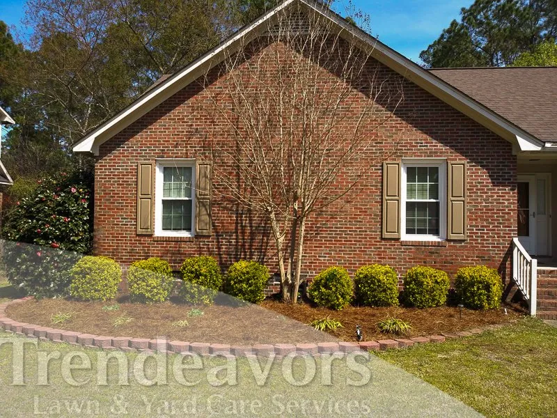 Reliable yard cleanup service in Fayetteville, NC - Trendeavors Home Services