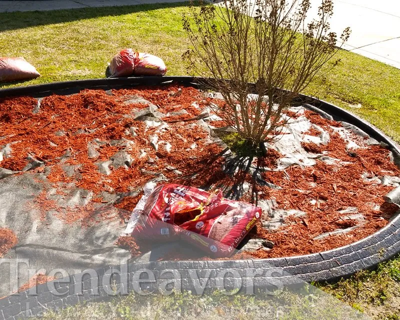Reliable garden landscaping in Fayetteville, NC - Trendeavors Home Services