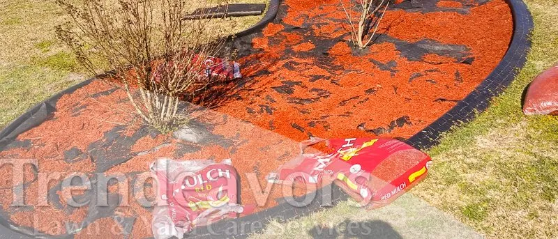 Reliable residential landscaping in Fayetteville, NC - Trendeavors Home Services