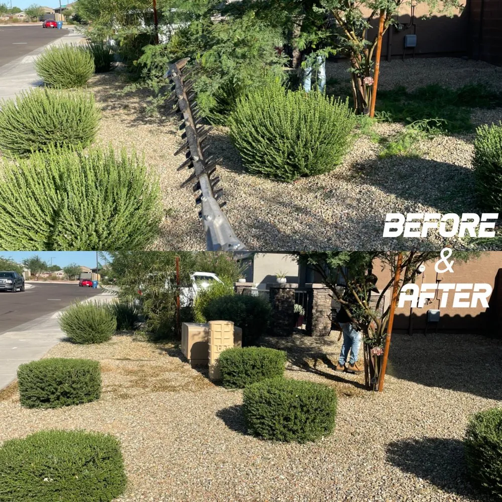 Local landscaping services experts serving Buckeye, AZ - Trending Grounds Landscaping