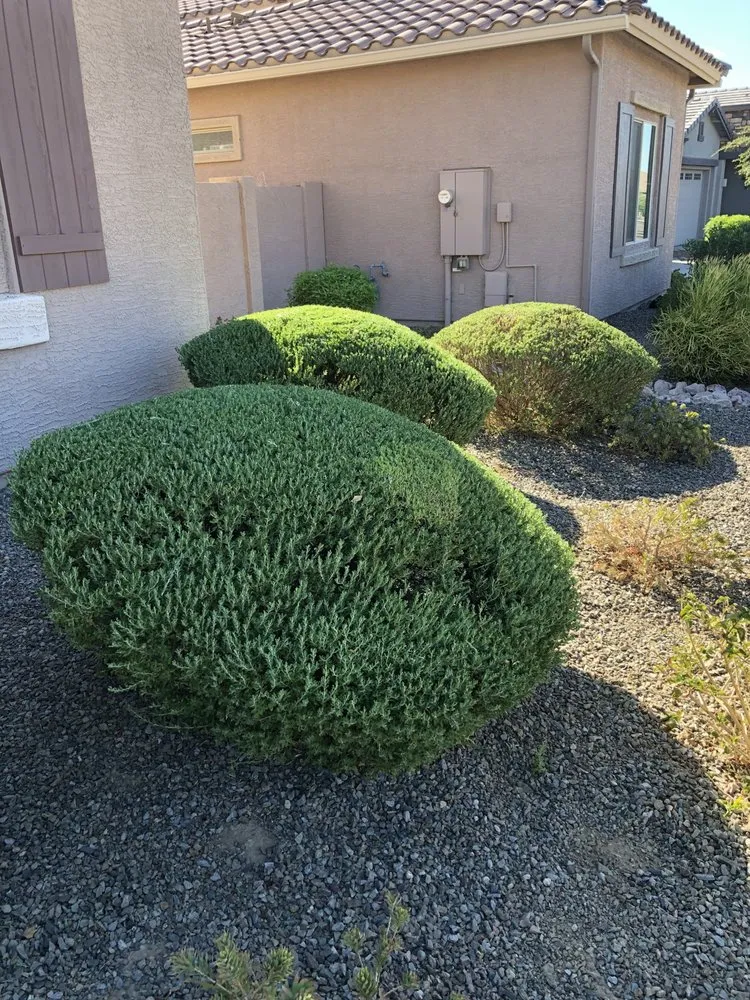 Expert outdoor landscaping experts serving Buckeye, AZ - Trending Grounds Landscaping