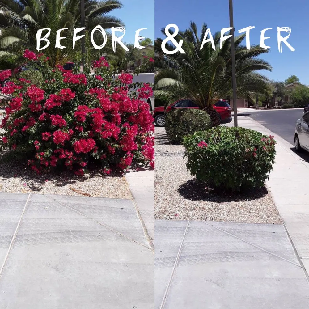 Affordable landscape installation near you across Buckeye, AZ - Trending Grounds Landscaping