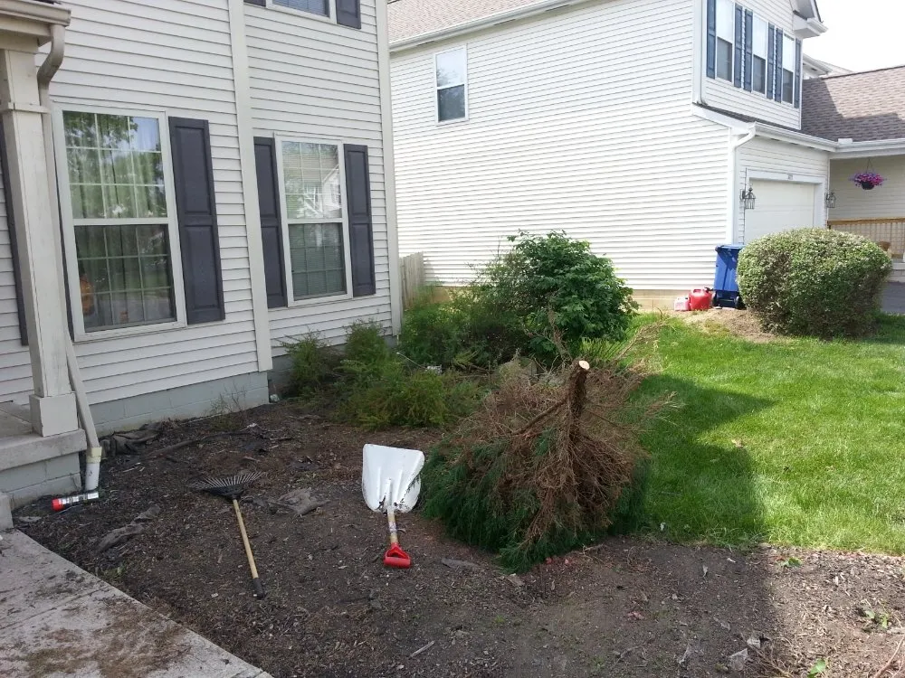 Local lawn care service in Worthington, OH - Trendscapes Landscaping