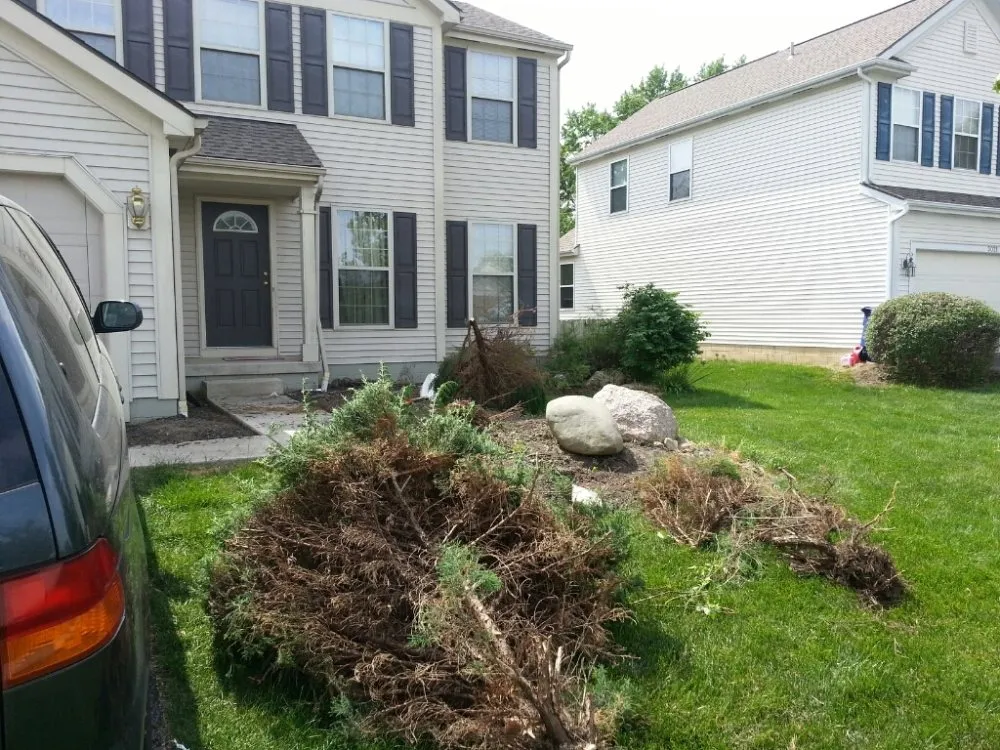 Expert landscape installation for year-round maintenance in Worthington, OH by Trendscapes Landscaping