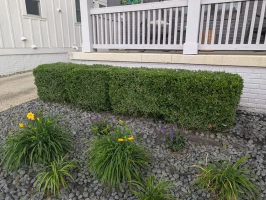 Trendscapes Landscaping